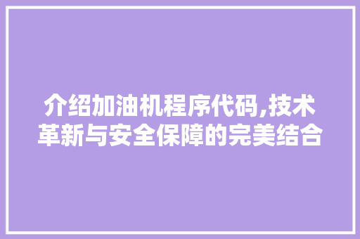 介绍加油机程序代码,技术革新与安全保障的完美结合 介绍加油机程序代码,技术革新与安全保障的完美结合 网站建设公司