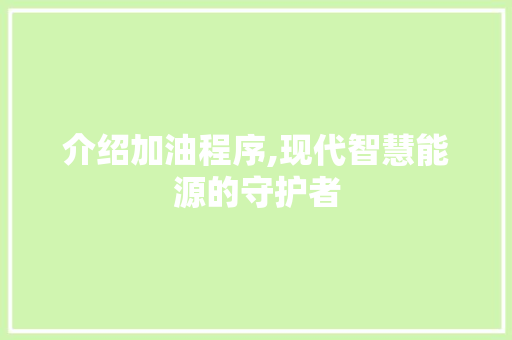 介绍加油程序,现代智慧能源的守护者 介绍加油程序,现代智慧能源的守护者 必应SEO
