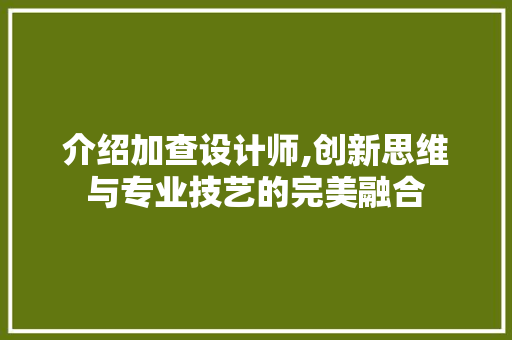 介绍加查设计师,创新思维与专业技艺的完美融合 介绍加查设计师,创新思维与专业技艺的完美融合 网站建设公司
