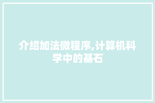 介绍加法微程序,计算机科学中的基石 介绍加法微程序,计算机科学中的基石 必应SEO