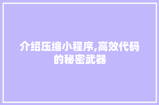 介绍压缩小程序,高效代码的秘密武器 介绍压缩小程序,高效代码的秘密武器 SEO关键词