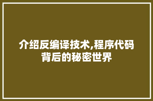 介绍反编译技术,程序代码背后的秘密世界 介绍反编译技术,程序代码背后的秘密世界 搜狗SEO