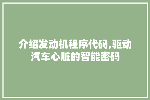 介绍发动机程序代码,驱动汽车心脏的智能密码 介绍发动机程序代码,驱动汽车心脏的智能密码 神马SEO