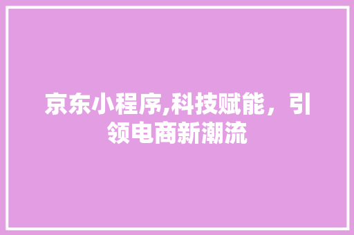 京东小程序,科技赋能，引领电商新潮流 京东小程序,科技赋能，引领电商新潮流 百度SEO