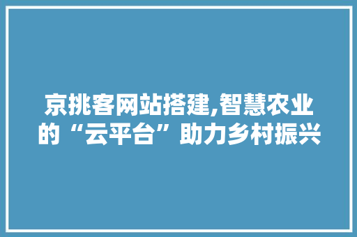 京挑客网站搭建,智慧农业的“云平台”助力乡村振兴
