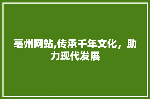 亳州网站,传承千年文化，助力现代发展 亳州网站,传承千年文化，助力现代发展 必应SEO
