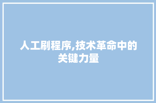 人工刷程序,技术革命中的关键力量 人工刷程序,技术革命中的关键力量 网站建设公司