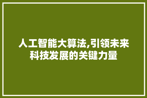 人工智能大算法,引领未来科技发展的关键力量 人工智能大算法,引领未来科技发展的关键力量 神马SEO