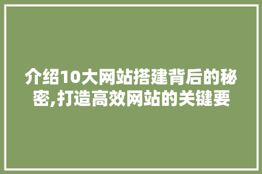 介绍10大网站搭建背后的秘密,打造高效网站的关键要素