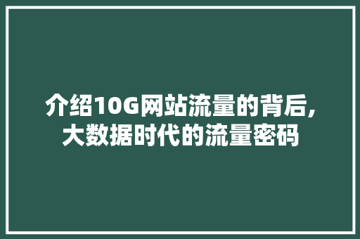介绍10G网站流量的背后,大数据时代的流量密码 介绍10G网站流量的背后,大数据时代的流量密码 搜狗SEO