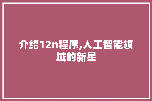 介绍12n程序,人工智能领域的新星 介绍12n程序,人工智能领域的新星 SEO关键词
