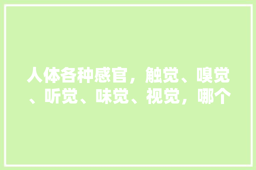 人体各种感官，触觉、嗅觉、听觉、味觉、视觉，哪个最为重要,视觉为什么最重要。 人体各种感官，触觉、嗅觉、听觉、味觉、视觉，哪个最为重要,视觉为什么最重要。 网站建设公司