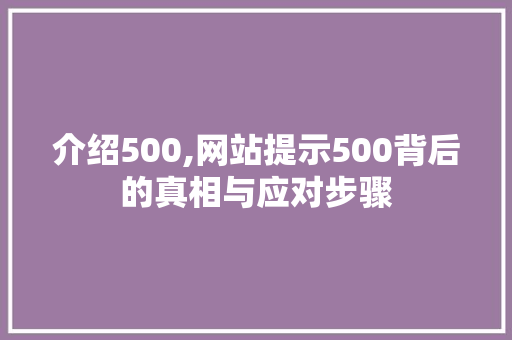 介绍500,网站提示500背后的真相与应对步骤