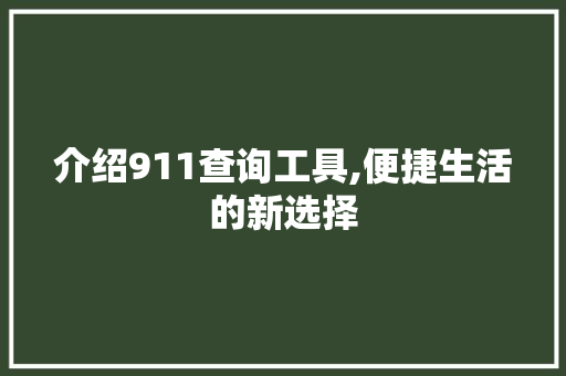 介绍911查询工具,便捷生活的新选择 介绍911查询工具,便捷生活的新选择 必应SEO