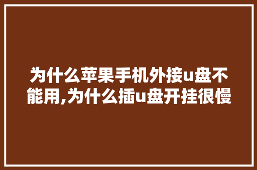 为什么苹果手机外接u盘不能用,为什么插u盘开挂很慢。 为什么苹果手机外接u盘不能用,为什么插u盘开挂很慢。 网站建设公司