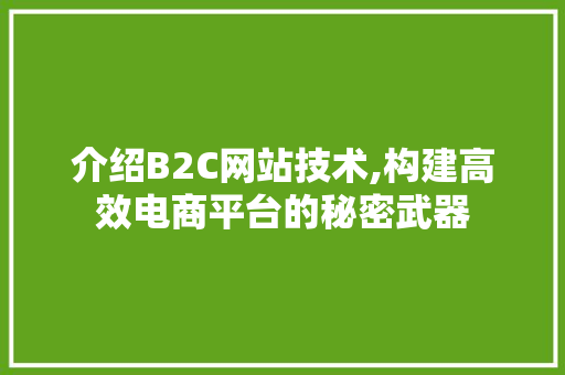 介绍B2C网站技术,构建高效电商平台的秘密武器 介绍B2C网站技术,构建高效电商平台的秘密武器 SEO关键词