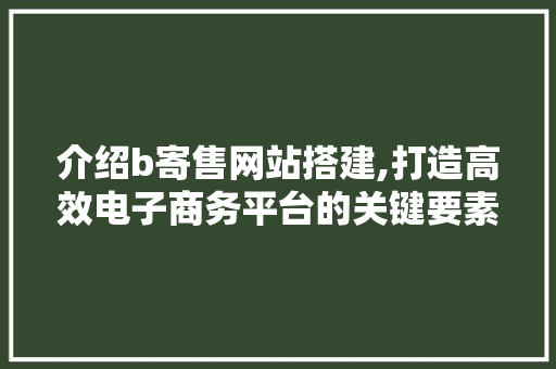 介绍b寄售网站搭建,打造高效电子商务平台的关键要素 介绍b寄售网站搭建,打造高效电子商务平台的关键要素 搜狗SEO