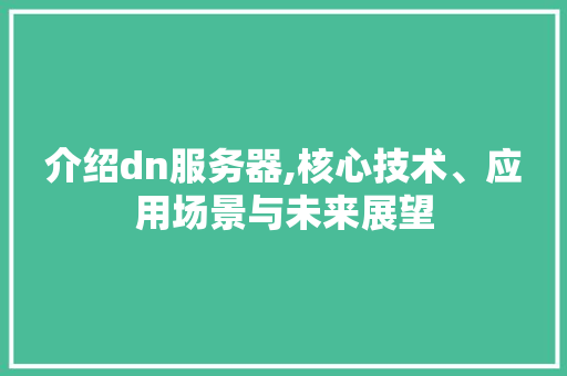介绍dn服务器,核心技术、应用场景与未来展望 介绍dn服务器,核心技术、应用场景与未来展望 SEO关键词