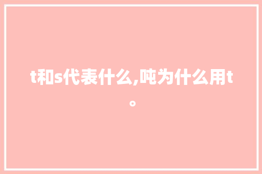 t和s代表什么,吨为什么用t。