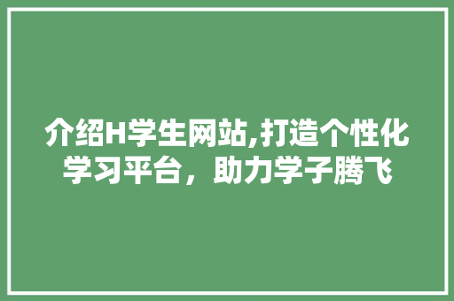 介绍H学生网站,打造个性化学习平台，助力学子腾飞 网站建设公司