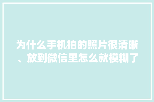 为什么手机拍的照片很清晰、放到微信里怎么就模糊了,为什么微信的app做得很普通呢。 为什么手机拍的照片很清晰、放到微信里怎么就模糊了,为什么微信的app做得很普通呢。 搜狗SEO