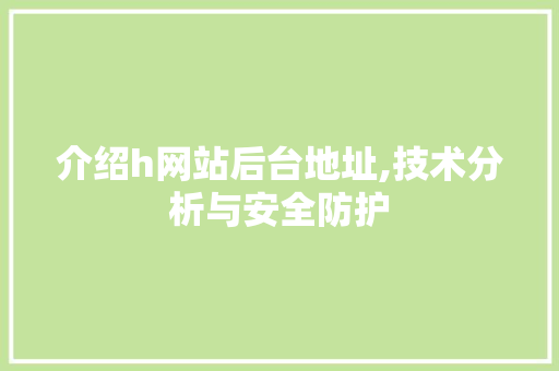 介绍h网站后台地址,技术分析与安全防护