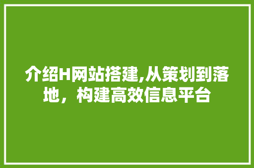 介绍H网站搭建,从策划到落地，构建高效信息平台