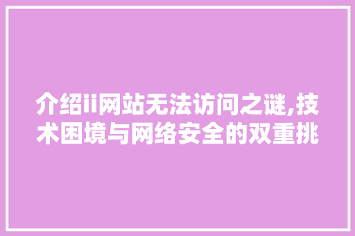 介绍ii网站无法访问之谜,技术困境与网络安全的双重挑战 介绍ii网站无法访问之谜,技术困境与网络安全的双重挑战 神马SEO