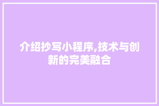 介绍抄写小程序,技术与创新的完美融合 介绍抄写小程序,技术与创新的完美融合 网站建设公司