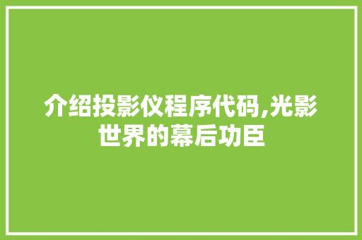 介绍投影仪程序代码,光影世界的幕后功臣