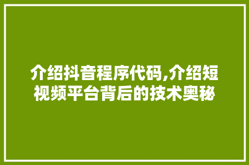介绍抖音程序代码,介绍短视频平台背后的技术奥秘 介绍抖音程序代码,介绍短视频平台背后的技术奥秘 SEO关键词