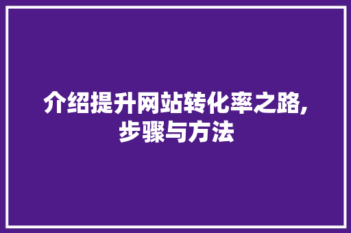 介绍提升网站转化率之路,步骤与方法