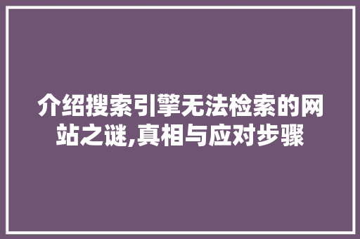 介绍搜索引擎无法检索的网站之谜,真相与应对步骤 介绍搜索引擎无法检索的网站之谜,真相与应对步骤 必应SEO