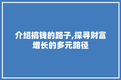介绍搞钱的路子,探寻财富增长的多元路径 介绍搞钱的路子,探寻财富增长的多元路径 必应SEO