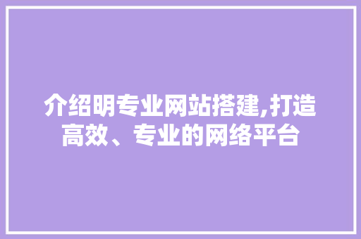介绍明专业网站搭建,打造高效、专业的网络平台