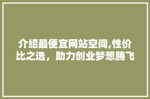 介绍最便宜网站空间,性价比之选，助力创业梦想腾飞 介绍最便宜网站空间,性价比之选，助力创业梦想腾飞 网站建设公司