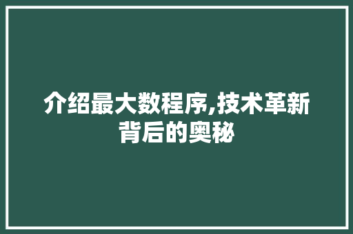 介绍最大数程序,技术革新背后的奥秘 介绍最大数程序,技术革新背后的奥秘 SEO关键词