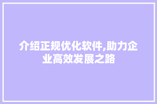 介绍正规优化软件,助力企业高效发展之路