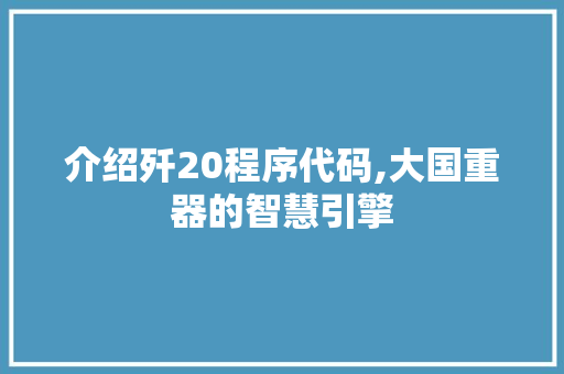 介绍歼20程序代码,大国重器的智慧引擎 介绍歼20程序代码,大国重器的智慧引擎 神马SEO