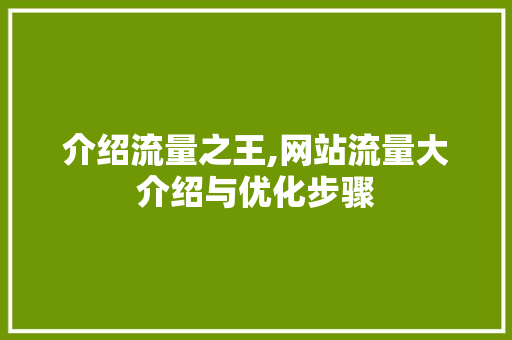 介绍流量之王,网站流量大介绍与优化步骤 介绍流量之王,网站流量大介绍与优化步骤 搜狗SEO