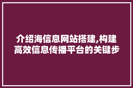 介绍海信息网站搭建,构建高效信息传播平台的关键步骤 介绍海信息网站搭建,构建高效信息传播平台的关键步骤 百度SEO