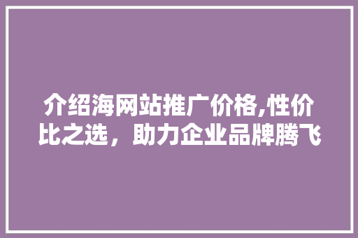 介绍海网站推广价格,性价比之选，助力企业品牌腾飞