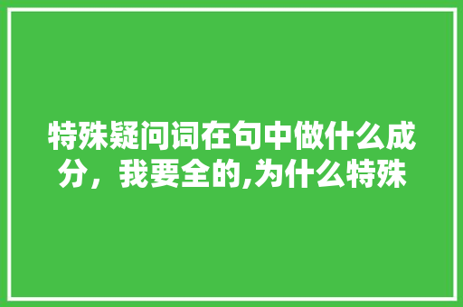 特殊疑问词在句中做什么成分，我要全的,为什么特殊疑问词英文单词不写。 特殊疑问词在句中做什么成分，我要全的,为什么特殊疑问词英文单词不写。 网站建设公司