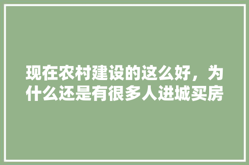现在农村建设的这么好，为什么还是有很多人进城买房,为什么建设商城要收费。 现在农村建设的这么好，为什么还是有很多人进城买房,为什么建设商城要收费。 网站建设公司