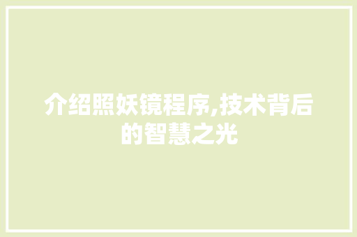 介绍照妖镜程序,技术背后的智慧之光 介绍照妖镜程序,技术背后的智慧之光 网站建设公司