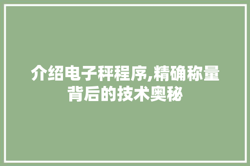 介绍电子秤程序,精确称量背后的技术奥秘 介绍电子秤程序,精确称量背后的技术奥秘 网站建设公司