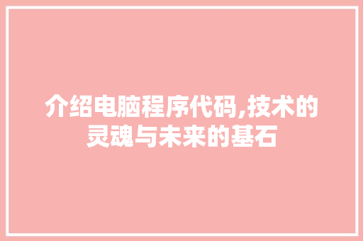 介绍电脑程序代码,技术的灵魂与未来的基石