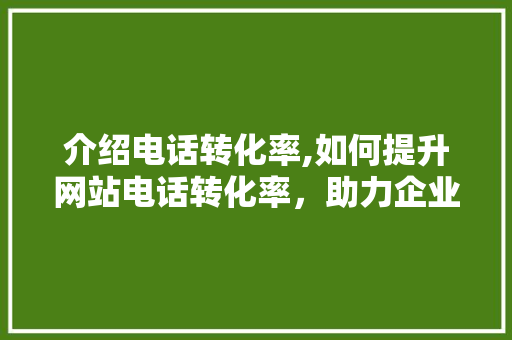 介绍电话转化率,如何提升网站电话转化率，助力企业业绩腾飞