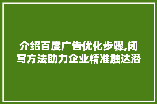 介绍百度广告优化步骤,闭写方法助力企业精准触达潜在客户 介绍百度广告优化步骤,闭写方法助力企业精准触达潜在客户 神马SEO