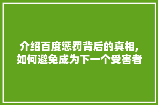 介绍百度惩罚背后的真相,如何避免成为下一个受害者 介绍百度惩罚背后的真相,如何避免成为下一个受害者 百度SEO